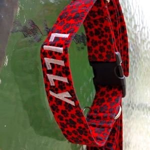 Custom Monogramed "Lilly" Dog Collar with matching leash